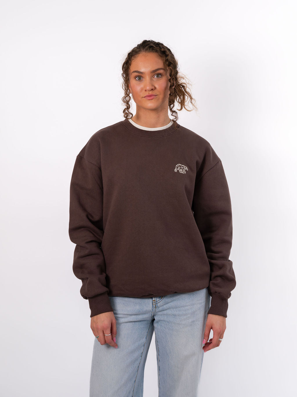 Polybear Heavyweight Sweatshirt - Brown