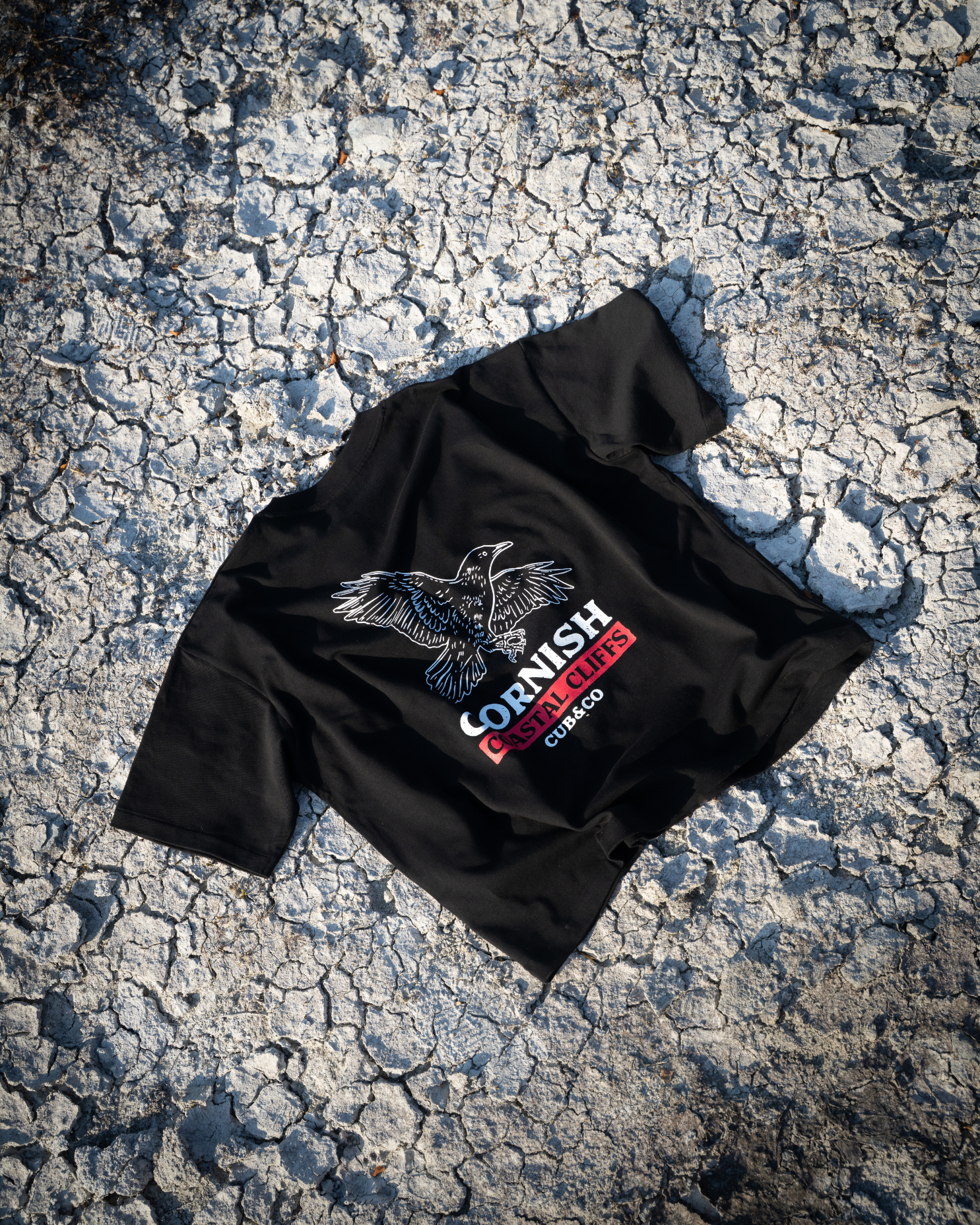 Cornish Chough Heavyweight Box T-Shirt – Black