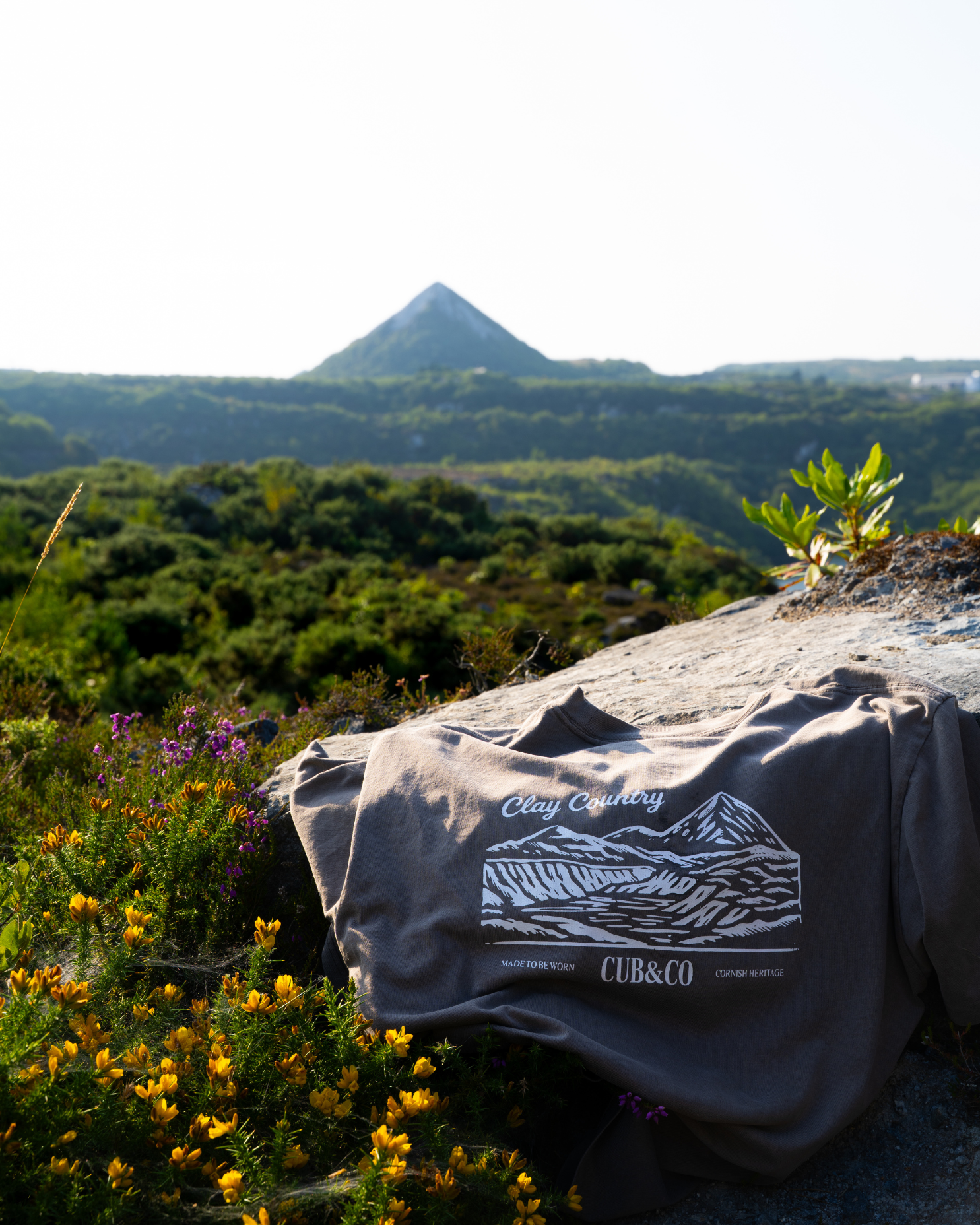 Clay Country Washed Brown T-Shirt