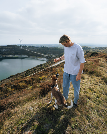 Clay Country Heavyweight Box T-Shirt – Ash Grey