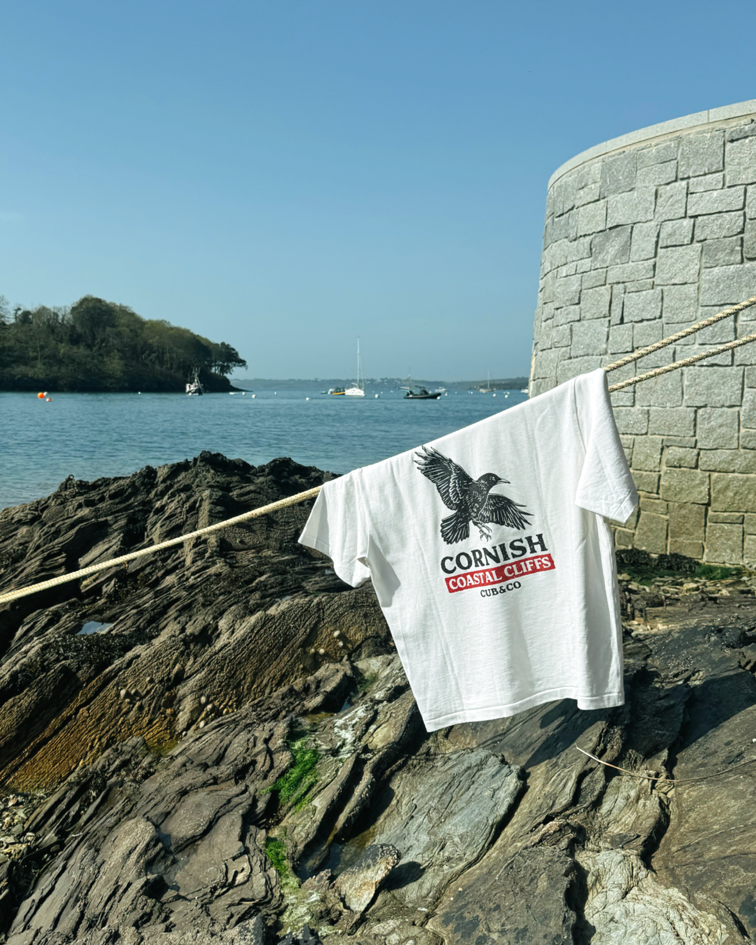 Chough Heavyweight Box T-Shirt – Cornish Cream