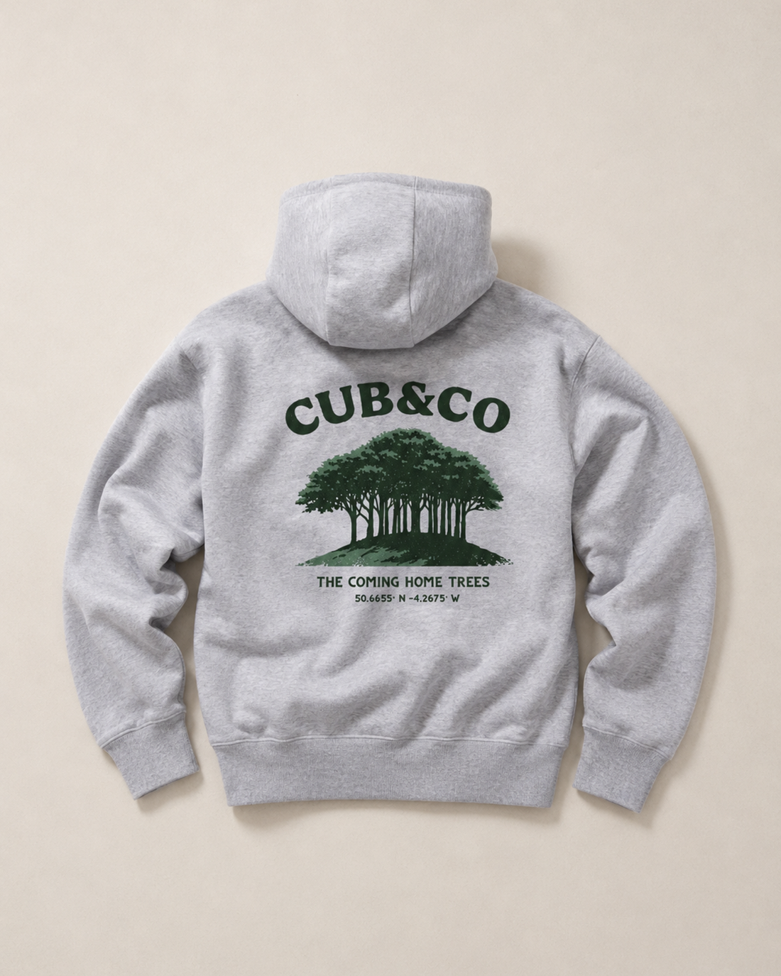 Coming Home Heavyweight Hoodie- Heather Grey