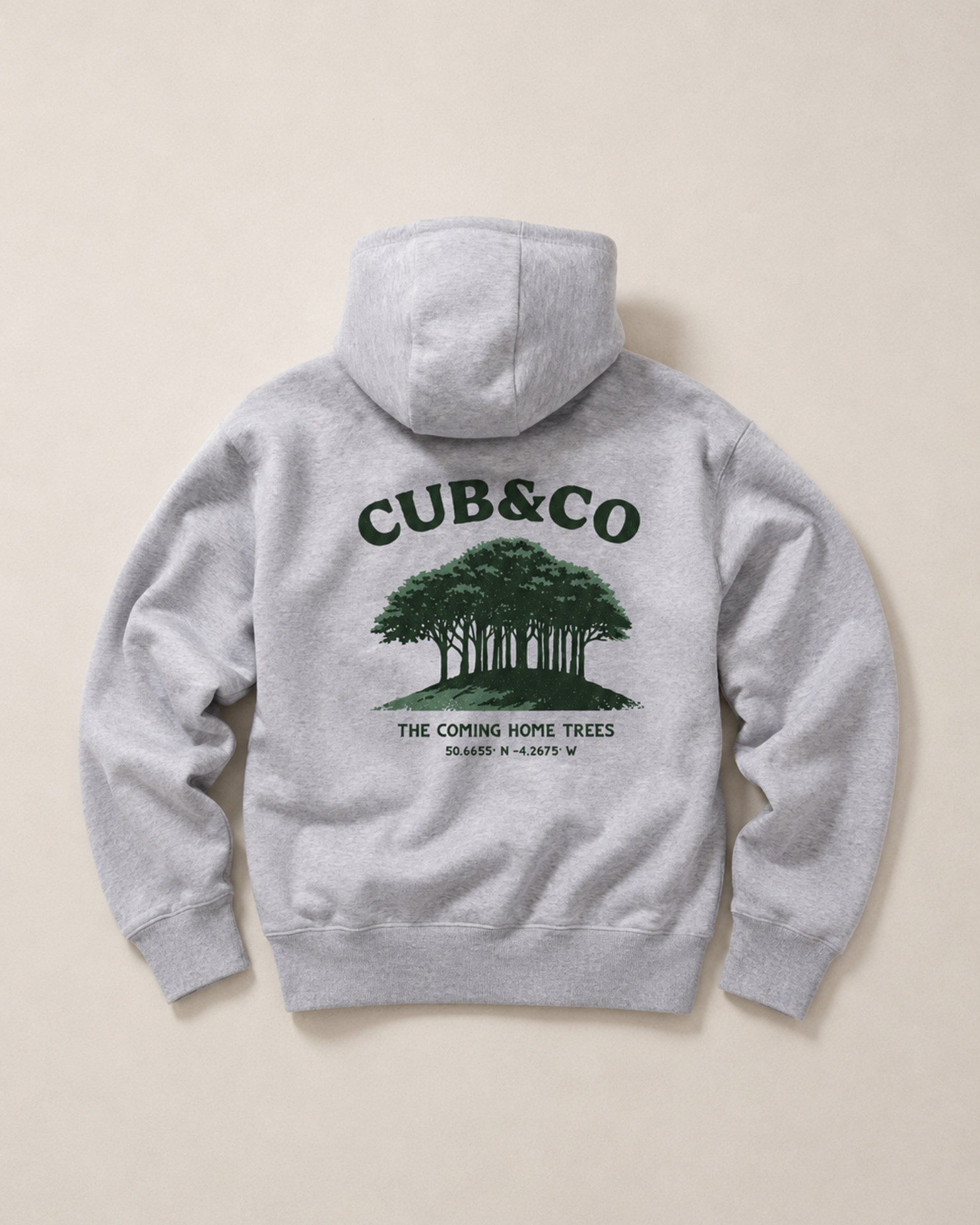Coming Home Heavyweight Hoodie- Heather Grey