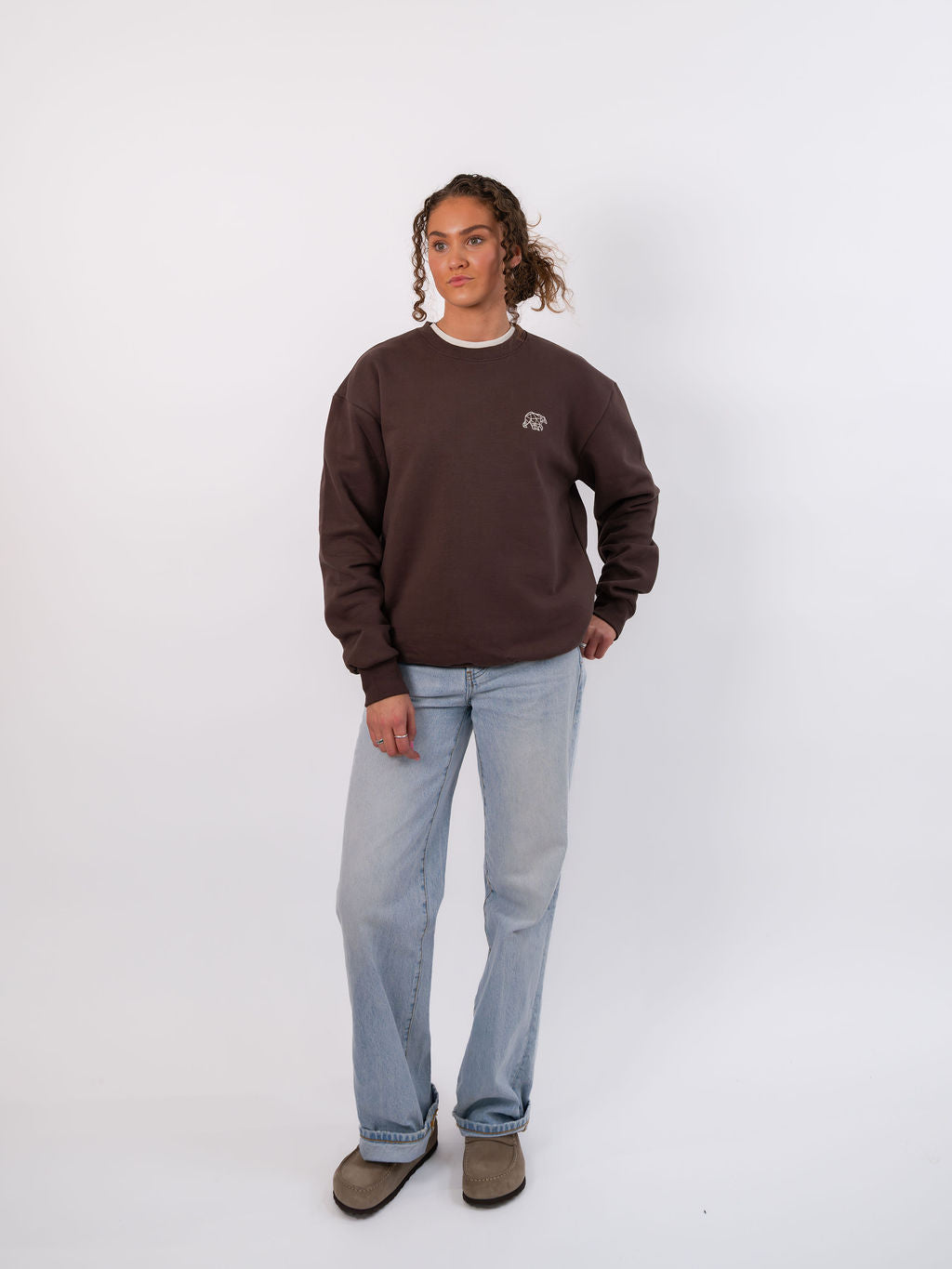 Polybear Heavyweight Sweatshirt -  Brown