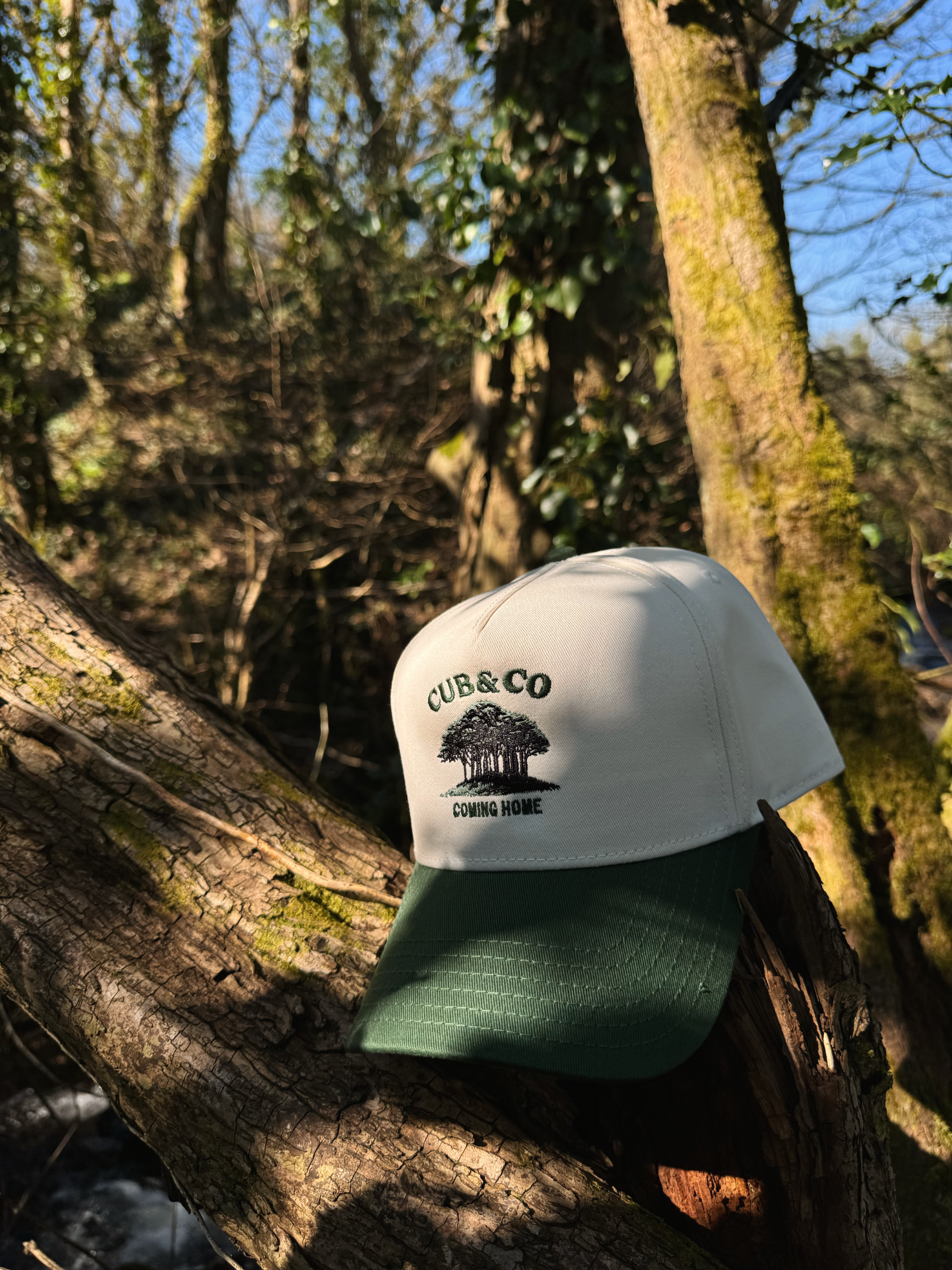 Coming Home Cream &amp; Green Cap
